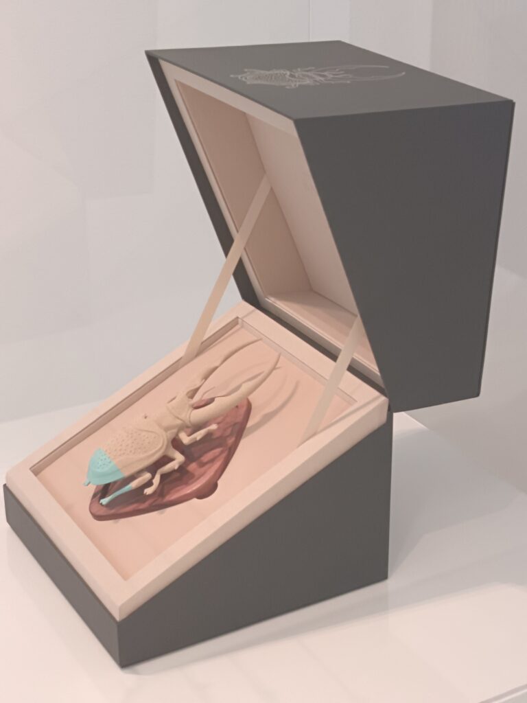 made in italy premium packaging giulia crotti milano christian tagliavini berlino camera worc gallery contemporary art arte contemporanea box handmade Flora Bakero scultura scatola